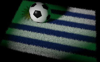 意大利客场不敌瑞士，晋级形势岌岌可危，意大利对瑞士比赛场地  第2张